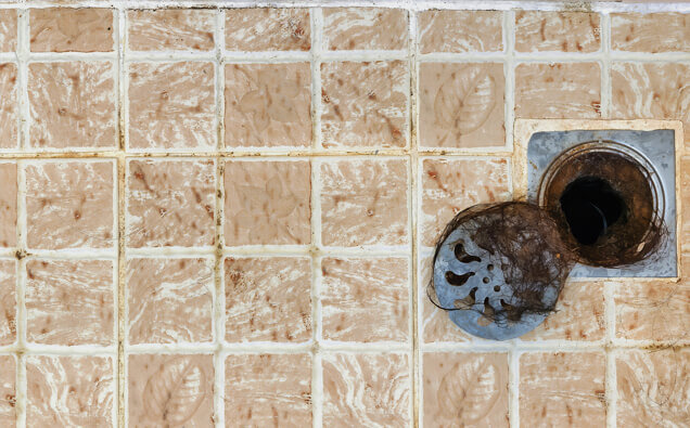 https://blockeddrainsmirrabooka.com.au/uploads/2025/07/blocked-shower-drains-91576.jpg