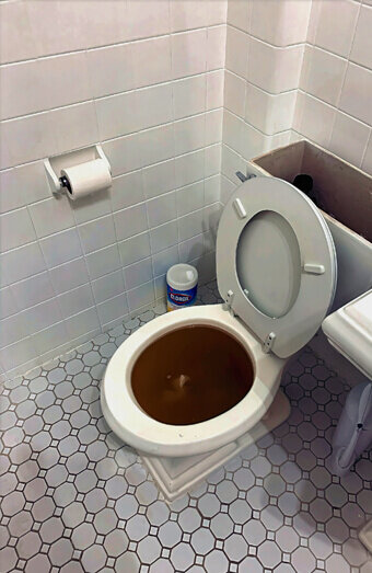 https://blockeddrainsmirrabooka.com.au/uploads/2025/07/blocked-toilet-99184.jpg